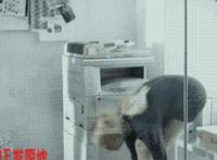 女人扔掉的裤头图片 小孩子脱妈妈裤头视频