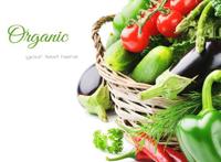 养生蔬菜要这样吃！