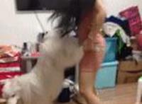 怎么吃自己的精华液图解 吃女人的精华液视频