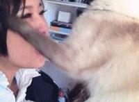 斗鱼梨爷酱图片 斗鱼莉爷酱跳舞视频 