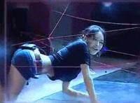 stray x全集：泰国zoo weekly 人与动物