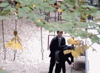 tara封面图片 t ara成员左乳曝光