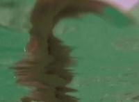 小媳妇在家录的闯天涯 娇软小媳妇104章诱鳏夫