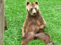 不知火舞上厕纸视频 不知火舞无翼鸟邪恶动态图片大全