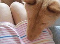 百位人体模特摄影画册 百名人体模特画册出集