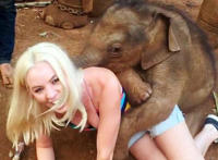 外国疯狂美女被野猪给性侵....