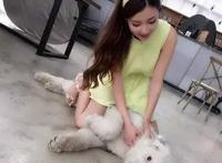 美女与狗的爱情故事