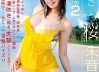 樱朱音(さくらあかね)所有的作品封面及全部番号列表