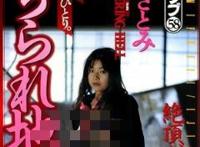 藤井里美(藤井さとみ)所有的作品封面及全部番号列表