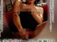 渡濑梨绘(渡瀬りえ)所有的作品封面及全部番号列表