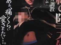 铃木亚沙美(鈴木亜沙美)所有的作品封面及全部番号列表