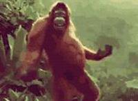 女主握着男主睡觉 女主被男主喂药带上街 男主桌子下舔女主