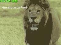 学长和女主学校里弄 男主抱着女主打野战 庄主别急嘛