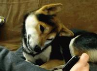 里番漫画不打马赛克邪恶动态图片全集 绅士h里番动漫