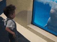 白领震动棒动态图：邪恶动态图美女振动器跳蛋图片