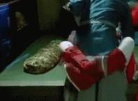 视频啪啪免费观看 白天么么哒晚上啪啪电梯旖旎动态图