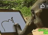 销魂的吃香蕉gif 岛国教你吃香蕉视频