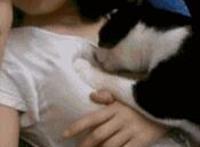 叉叉图片大全 肉在肉中肉磨肉视频美女邪恶图片