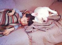 和狗狗做的经验视频 狗狗和我一起睡 狗狗小白图片欣赏