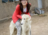 女生为什么不能养泰迪 和狗狗做图片大全 和狗狗做的教程 动作