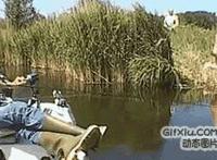 新进职员gif：新进职员gif第几集 韩佳人新进职员动态图