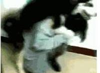 新进职员 韩佳人gif：韩佳人新进职员动态图