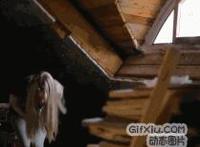 男友要强上我动态图 gif和男友异地：男友和他兄弟上我