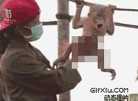 后入gif买菜：后入式动态图片不看你后悔动态图