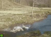 不同的女人口活不一样 怎么做口活儿舒服过程动态图