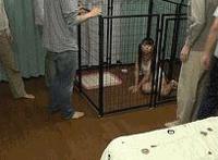 一般男人会舔女人下吗 男人舔女人阴间动态图