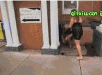 枕头安慰动态图：用枕头安慰gif 女孩枕头安慰