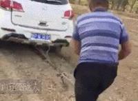 giga女战士被烧下部 都有哪些giga女战士动态图：giga女战士受难