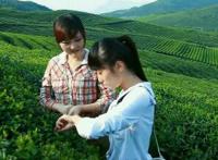 赵红霞开庭照片 赵红霞个人简历