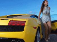 摩天轮动态图mtl888.ga mtlbbs摩天轮视频图 