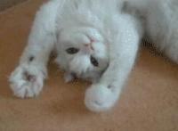 司机叔叔我想对你说400 被司机叔叔日 胡叔叔是我爸爸的司机