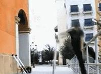 男性的大棒子进入邪恶动态图 美国男人的真实大棒子