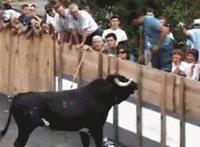 我的禽兽爸爸动态图 美智子 不要啊爸爸gif