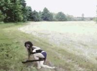 爆奶门奶头全图爆奶照未处理全套 动态爆奶门图片