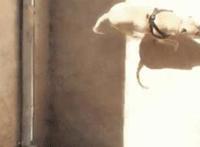 两个男生去服侍一个女人 两男共享一个女gif