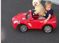 真人网上娱乐美女动态图片:99真人网上娱乐