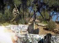 帅哥兵蛋子的图片大全:解帅哥裤掏帅哥鸟图片