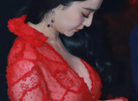 范冰冰最想删除了相片:范冰冰洪金宝私生子