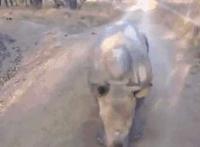 帮男友打灰机怎么更爽GIF:姐姐帮我打灰机动态图