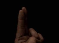 深夜啪啪视频在线观看:李毅吧爱狗内部图