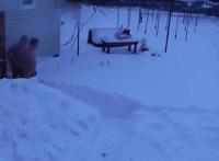 禁段恋情漫画图片:少年少女18禁漫画全集