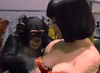 全国花式啪啪冠军:世界滚床单冠军,世界鲁管大赛冠军视频