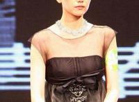 和高圆圆睡觉的小说:明星帝国之高圆圆,娱乐小说女主高圆圆