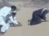 老板与秘书l4q图片:干秘书是件很幸福的事