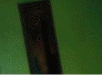 你好多的毛毛是谁:闺蜜掀裙gif