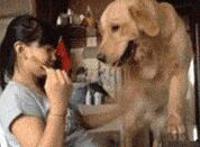 秋月爱莉被救生员:秋月爱莉被几个人上,秋月爱莉哪集被ntr